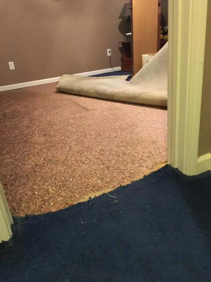 Carpet pad removal revealing water damage during Water Mitigation Services in Lunenburg