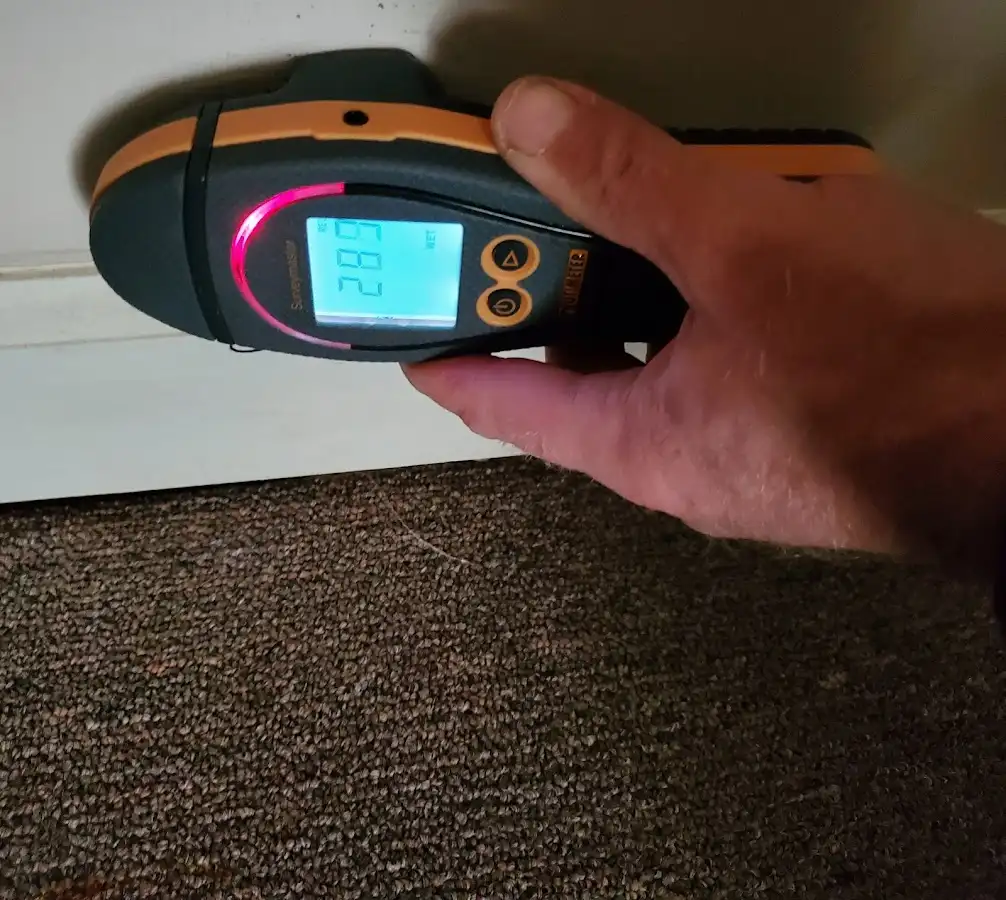 Moisture detection at baseboard during Sewage Cleanup & Sanitation in Lunenburg